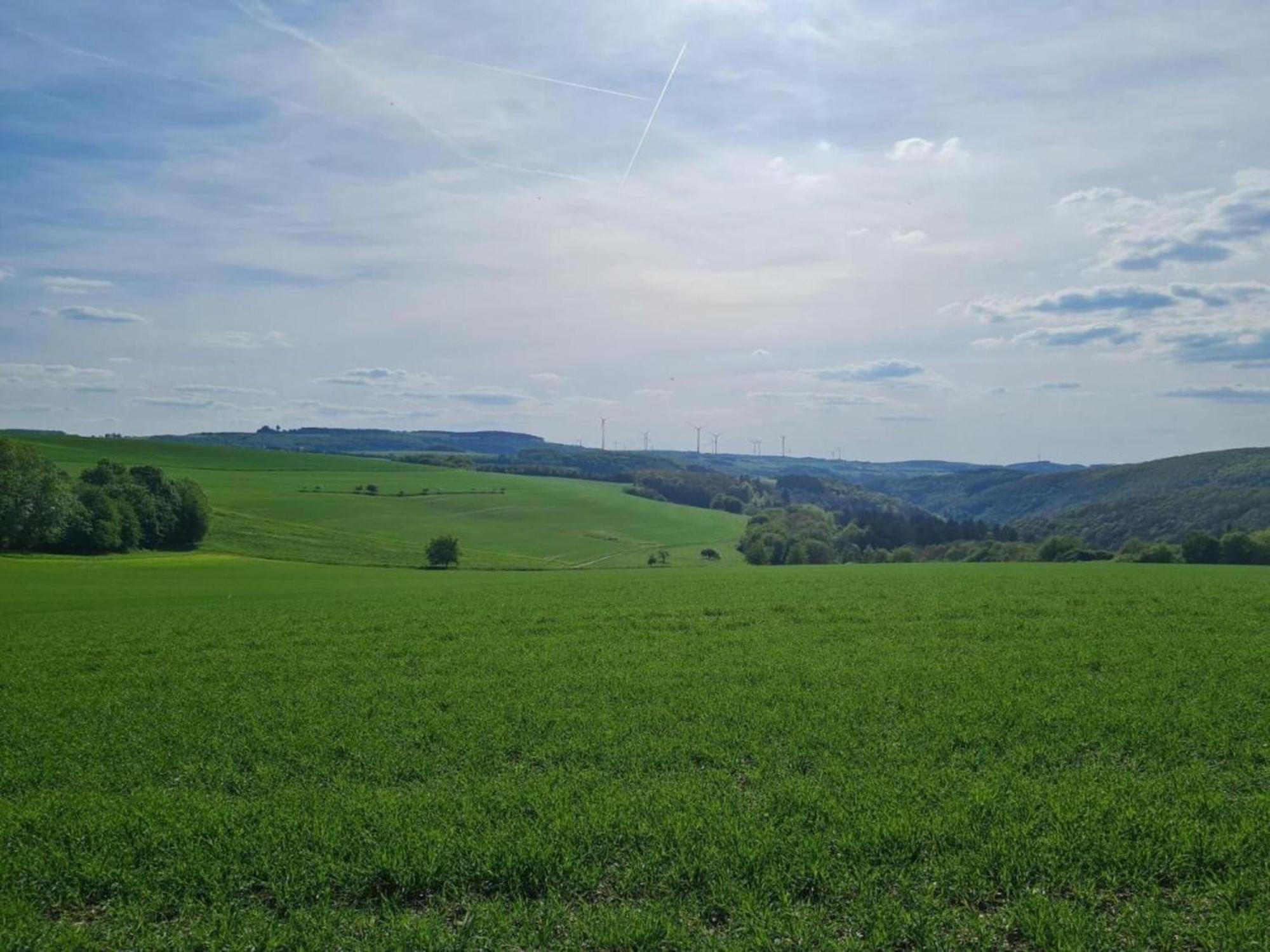 Tranquil Holiday Home In Filz In The Eifel With Garden Luaran gambar